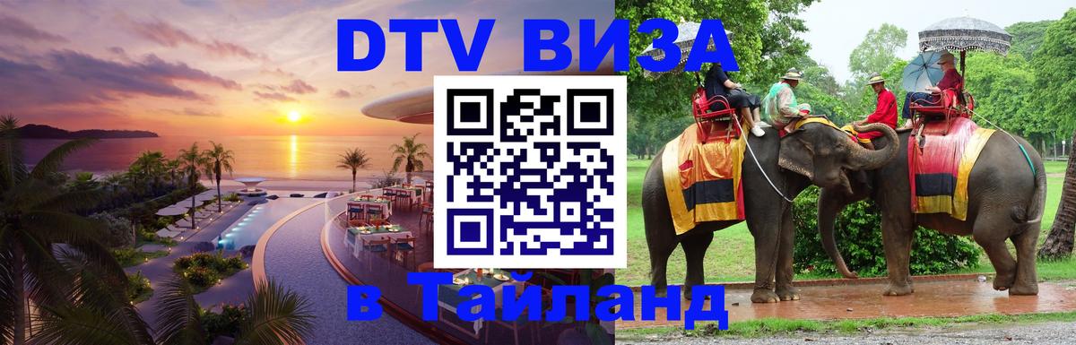 Оформление DTV визы под ключ: стоимость и тарифы, только загранпаспорт - Мытищи 